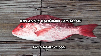 Kırlangıç Balığının Faydaları