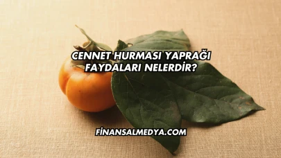 Cennet Hurması Yaprağı Faydaları Nelerdir?