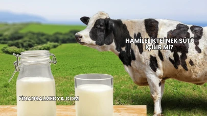 Hamilelikte İnek Sütü İçilir mi?