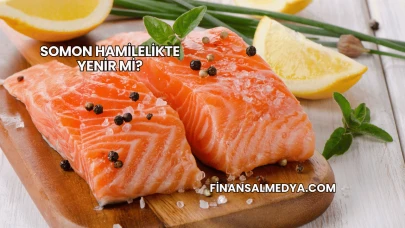 Somon Hamilelikte Yenir mi?