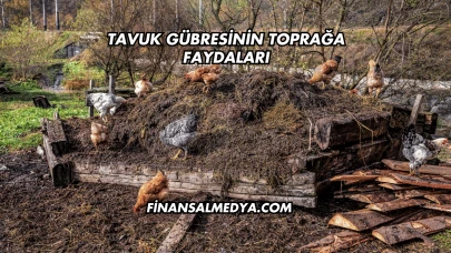 Tavuk Gübresinin Toprağa Faydaları