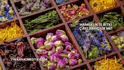 Hamilelikte Bitki Çayları İçilir mi?