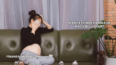 Kan Testinde Hamilelik Nasıl Belli Olur?