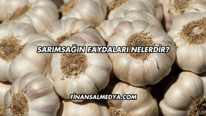 Sarımsağın Faydaları Nelerdir?