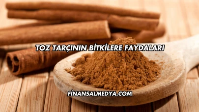 Toz Tarçının Bitkilere Faydaları