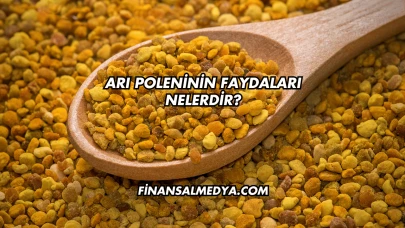 Arı Poleninin Faydaları Nelerdir?