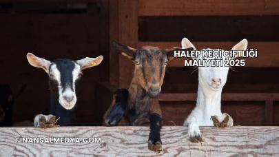 Halep Keçi Çiftliği Maliyeti 2025
