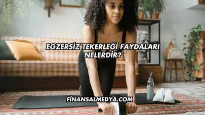 Egzersiz Tekerleği Faydaları Nelerdir?