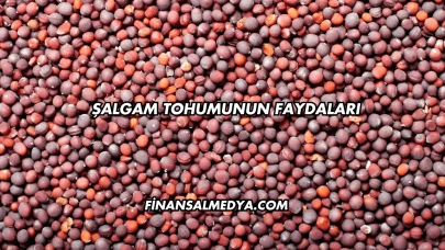 Şalgam Tohumunun Faydaları