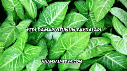 Yedi Damar Otunun Faydaları