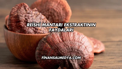 Reishi Mantarı Ekstraktının Faydaları