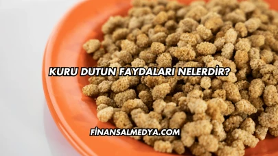 Kuru Dutun Faydaları Nelerdir?