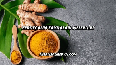 Zerdeçalın Faydaları Nelerdir?