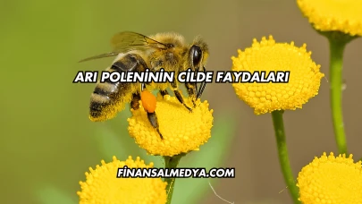 Arı Poleninin Cilde Faydaları