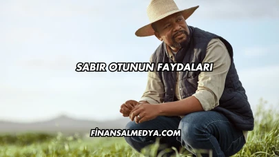 Sabır Otunun Faydaları