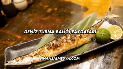 Deniz Turna Balığı Faydaları