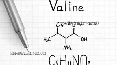 Valin Ne İşe Yarar?