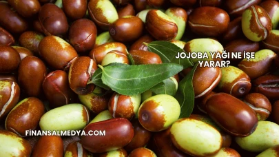 Jojoba Yağı Ne İşe Yarar?
