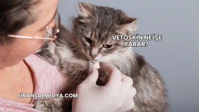Vetoskin Ne İşe Yarar?