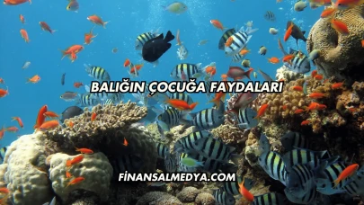Balığın Çocuğa Faydaları