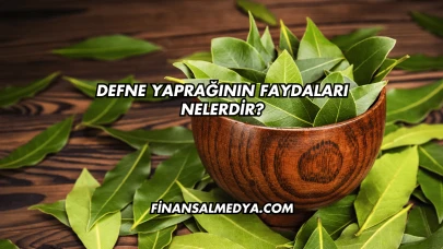 Defne Yaprağının Faydaları Nelerdir?