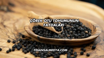 Çörek Otu Tohumunun Faydaları