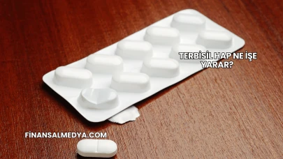 Terbisil Hap Ne İşe Yarar?