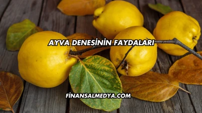 Ayva Denesinin Faydaları