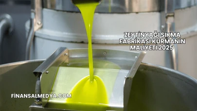 Zeytinyağı Sıkma Fabrikası Kurmanın Maliyeti 2025
