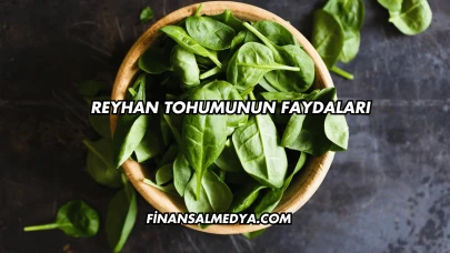 Reyhan Tohumunun Faydaları