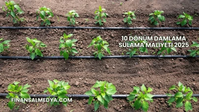 10 Dönüm Damlama Sulama Maliyeti 2025