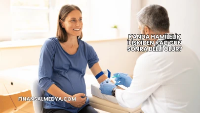 Kanda Hamilelik İlişkiden Kaç Gün Sonra Belli Olur?