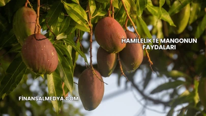 Hamilelikte Mangonun Faydaları