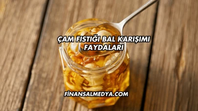 Çam Fıstığı Bal Karışımı Faydaları