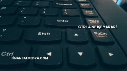Ctrl A Ne İşe Yarar?