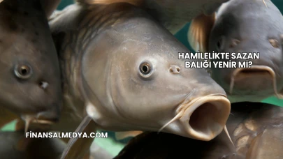 Hamilelikte Sazan Balığı Yenir mi?