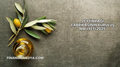 Zeytinyağı Fabrikasının Kuruluş Maliyeti 2025