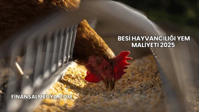 Besi Hayvancılığı Yem Maliyeti 2025