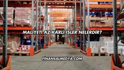 Maliyeti Az Karlı İşler Nelerdir?
