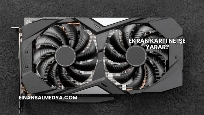 Ekran Kartı Ne İşe Yarar?