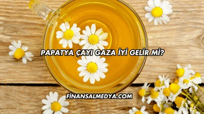 Papatya Çayı Gaza İyi Gelir mi?