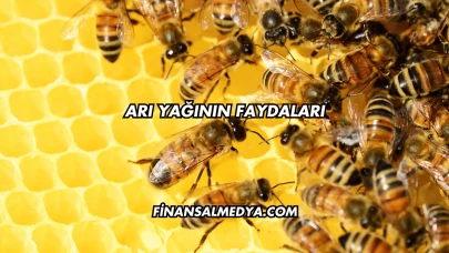 Arı Yağının Faydaları