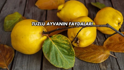 Tuzlu Ayvanın Faydaları