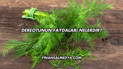 Dereotunun Faydaları Nelerdir?