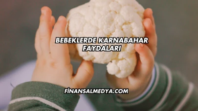 Bebeklerde Karnabahar Faydaları