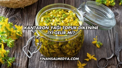Kantaron Yağı Topuk Dikenine İyi Gelir mi?