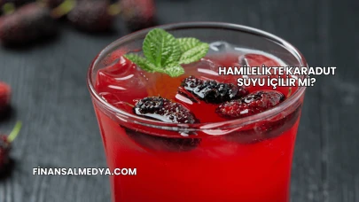 Hamilelikte Karadut Suyu İçilir mi?