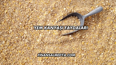 Yem Kanyaşı Faydaları
