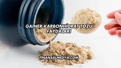 Gainer Karbonhidrat Tozu Faydaları