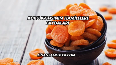 Kuru Kayısının Hamilelere Faydaları